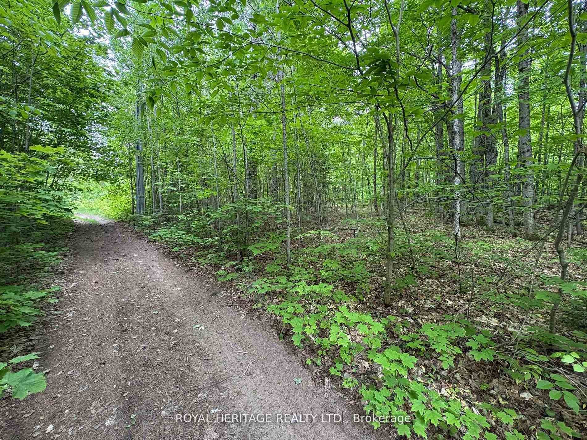 1043 Lawrence Pit Road, Muskoka Lakes