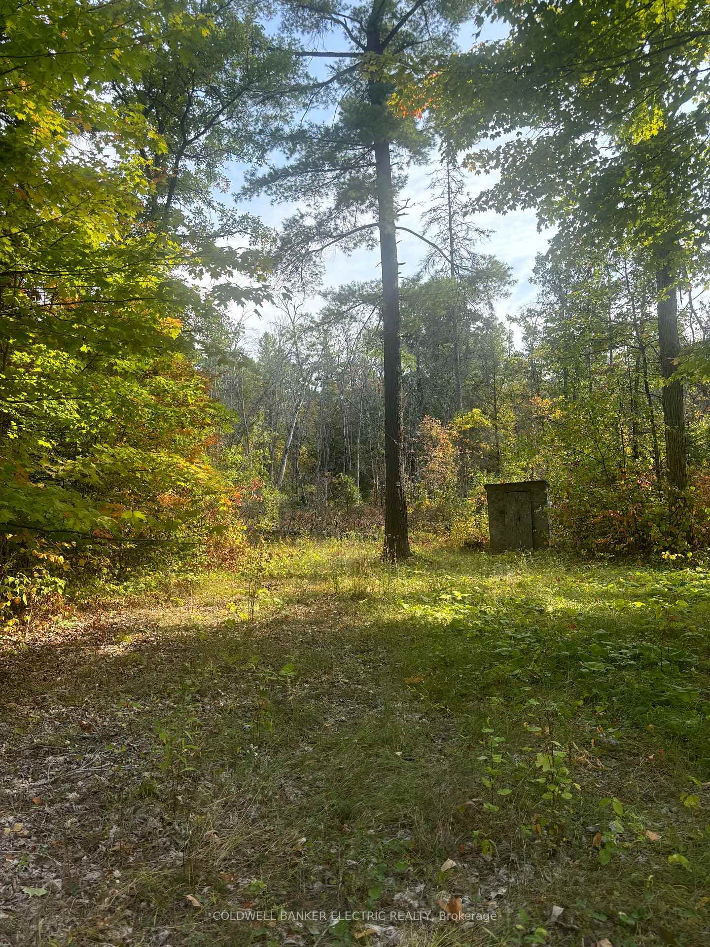 0 Pineview Court, Marmora and Lake, ON K0K 2M0 - Photo 1