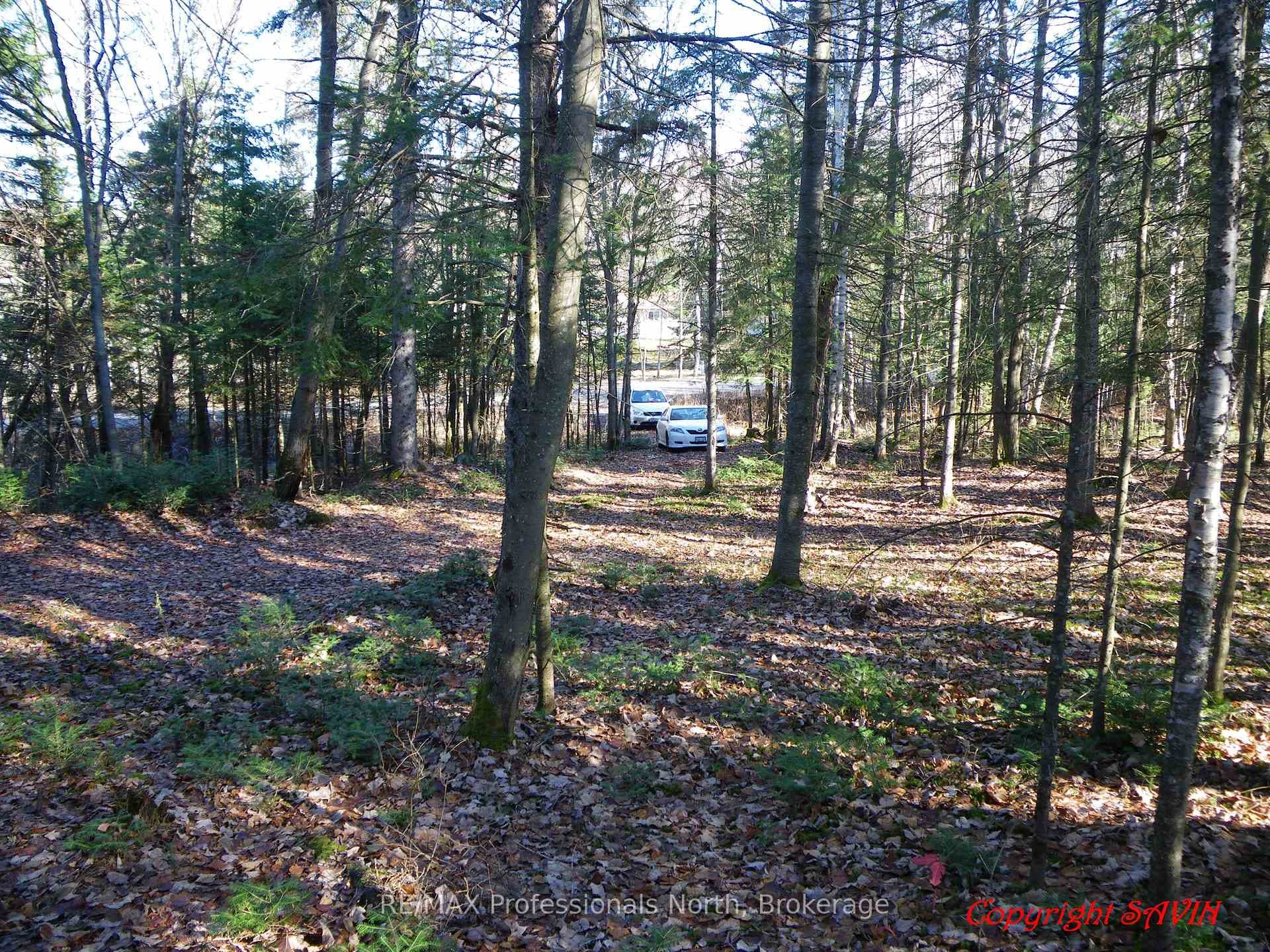 PCL 20438 & 29803 Upper Walker Lake Rd Road, Lake of Bays, ON P1H 2J6 - Photo 1