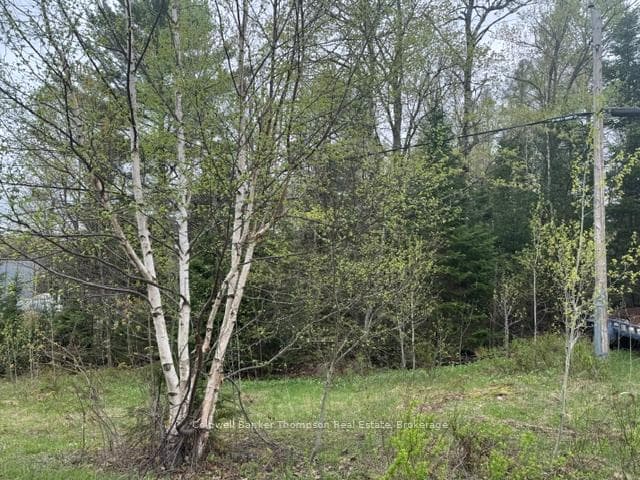 00 Highway 518 West Highway, McMurrich/Monteith, ON P0A 1Y0 - Photo 1
