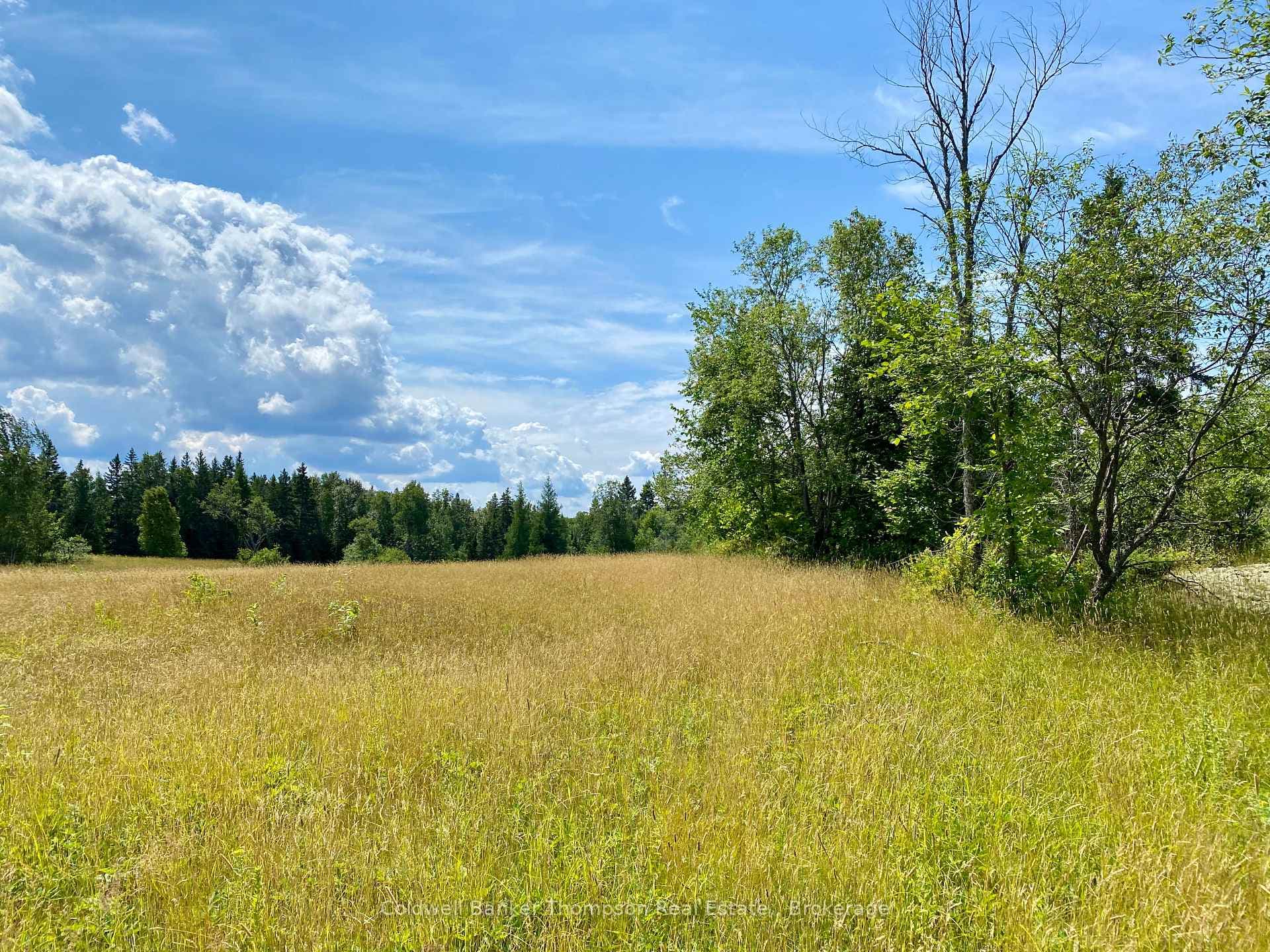 LOT 6-B 522 Highway, Parry Sound Remote Area, ON P0H 1S0 - Photo 1