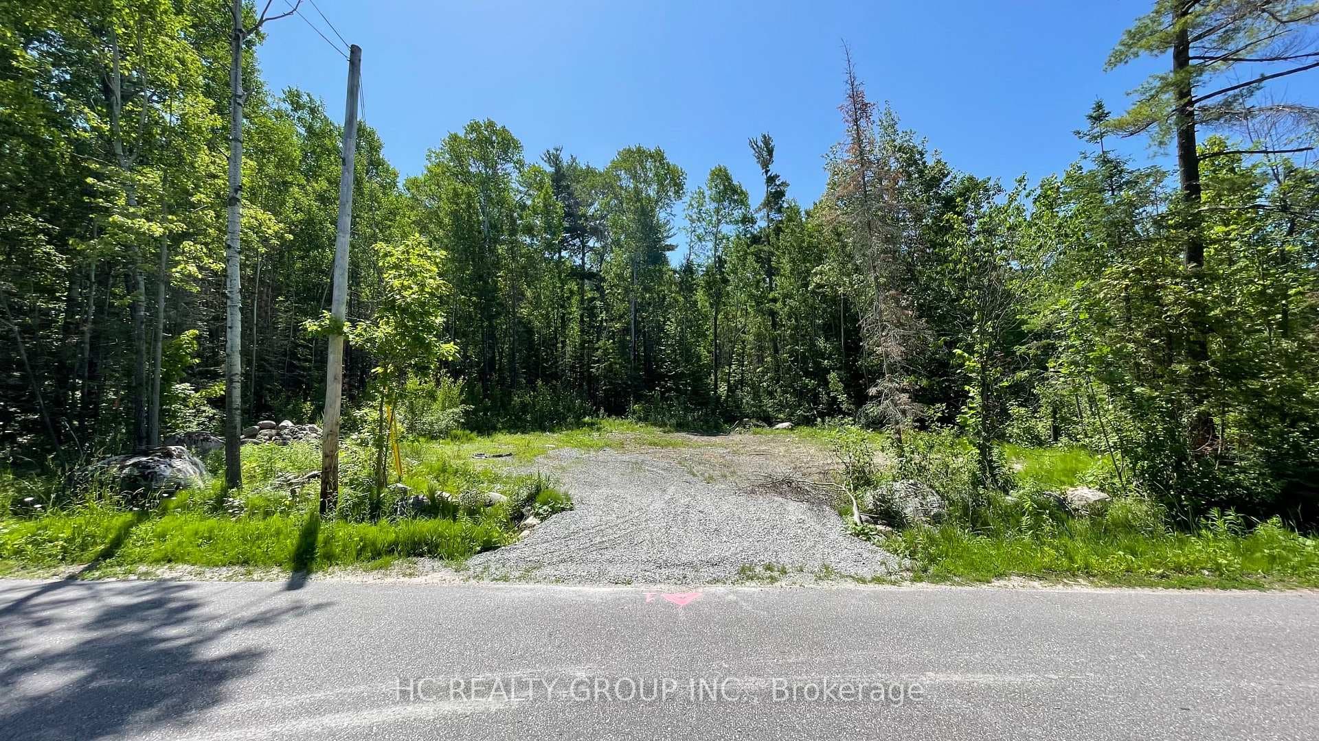 Lt101 Silver Birch Drive, Tiny, ON L9M 0M5 - Photo 1