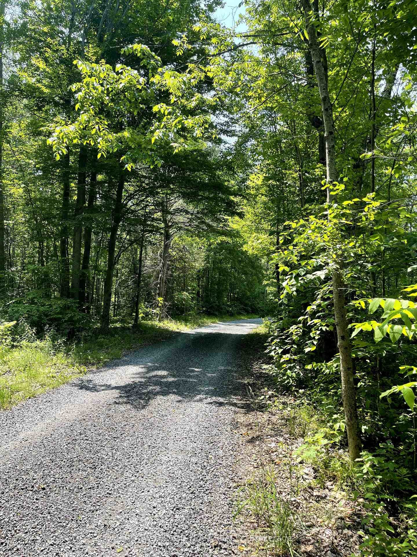 000 Dukelow Road, Edwardsburgh/Cardinal, ON K0E 1X0 - Photo 1