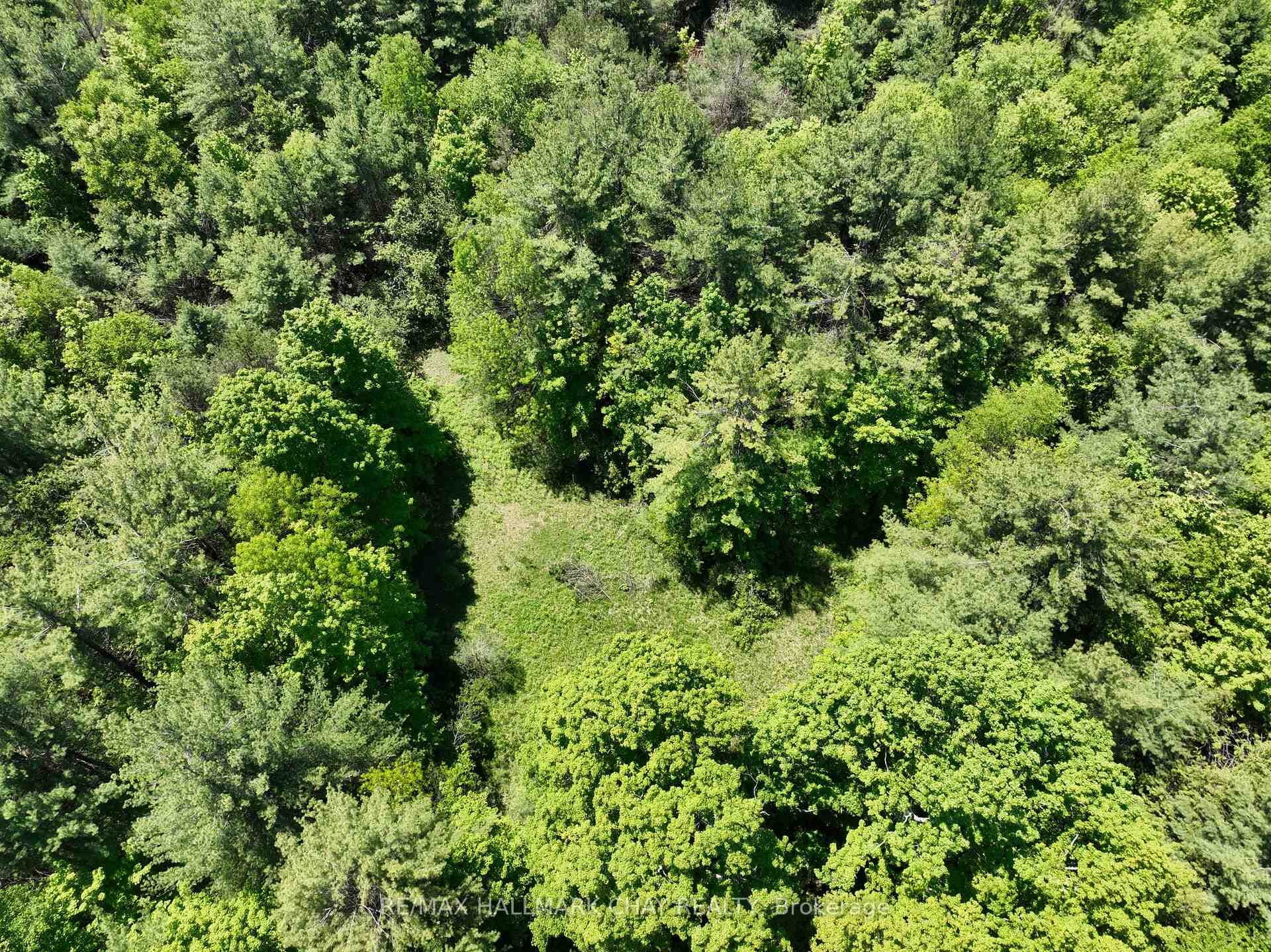 1676 Old Second Road, Springwater, ON L9X 1P1 - Photo 1