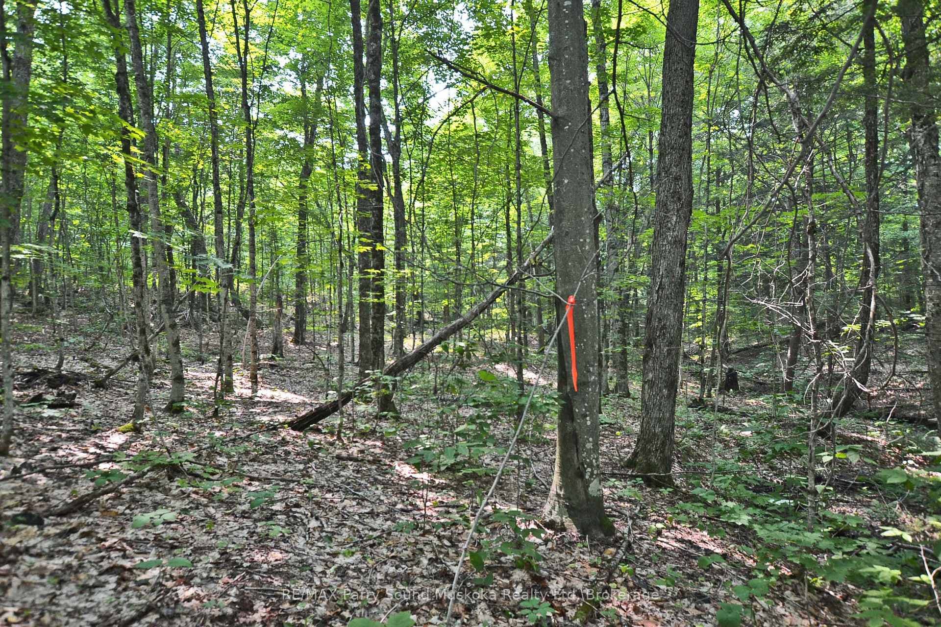Prime 5 acre building lot!