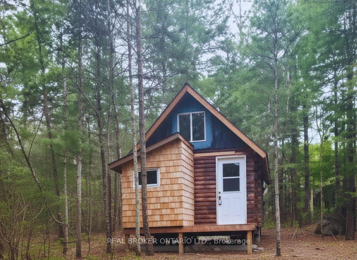 0 Bear Cave Road, Muskoka Lakes, ON P0C 1J0 - Photo 1