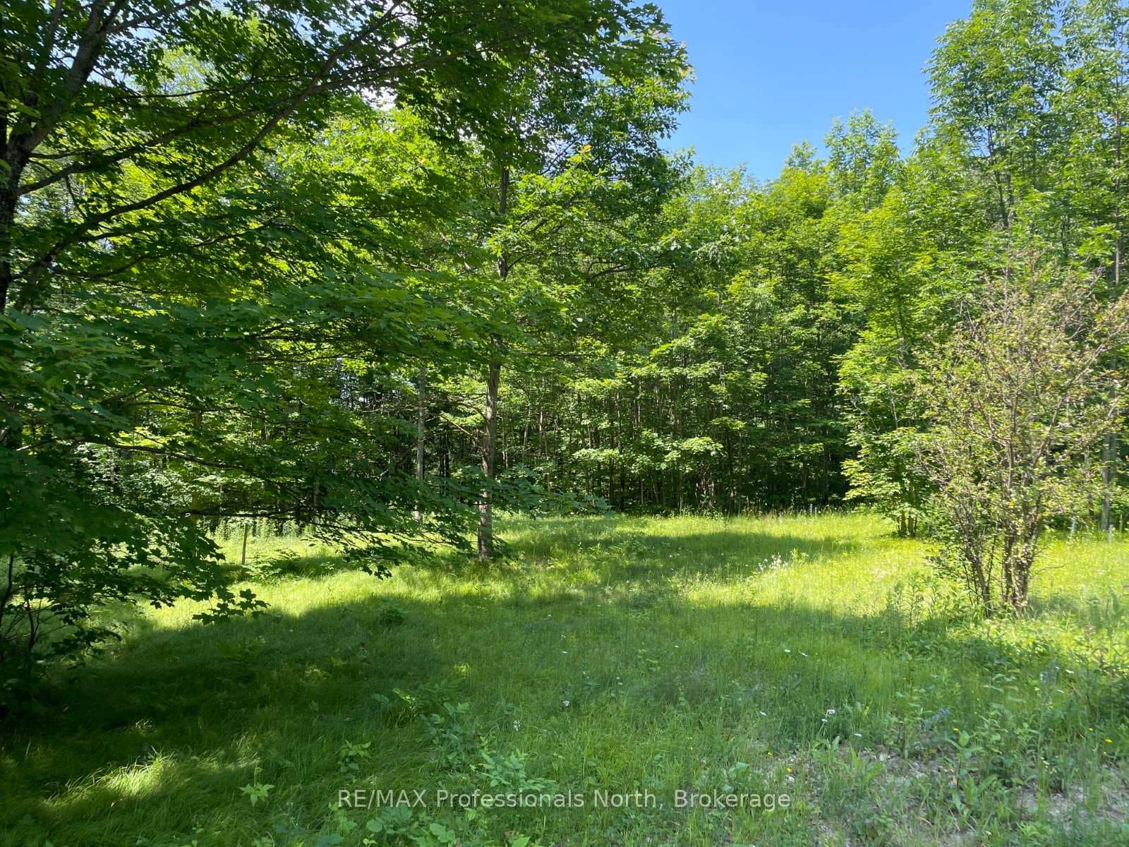 0 Glamor Lake Road, Highlands East, ON K0M 1R0 - Photo 1