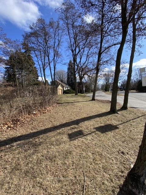 58 Pine Ridge Drive, Scarborough Town Centre, ON M1M 2X7 - Photo 1