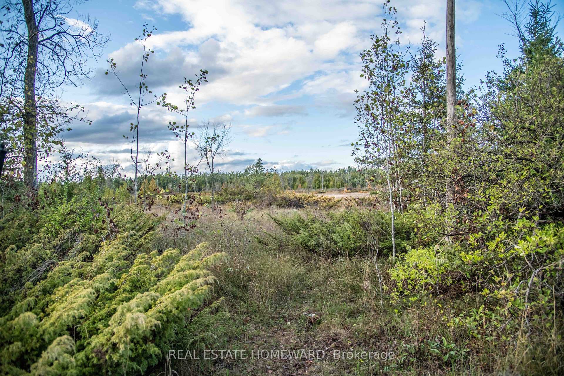 254-256 McGuire Beach Road, Kawartha Lakes, ON K0M 2B0 - Photo 1