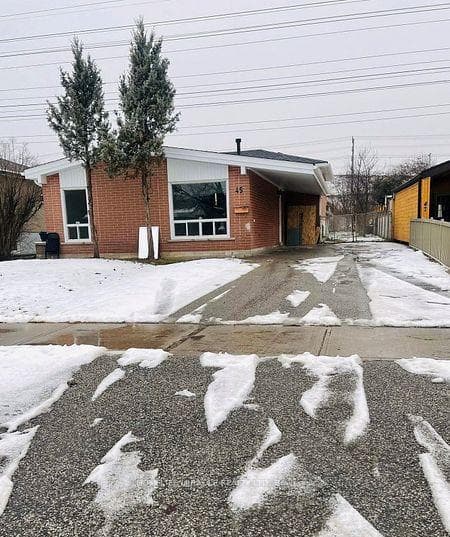45 Elmvale Crescent Unit Bsmt, Etobicoke (West Mall / Rexdale), ON M9V 2B8 - Photo 1