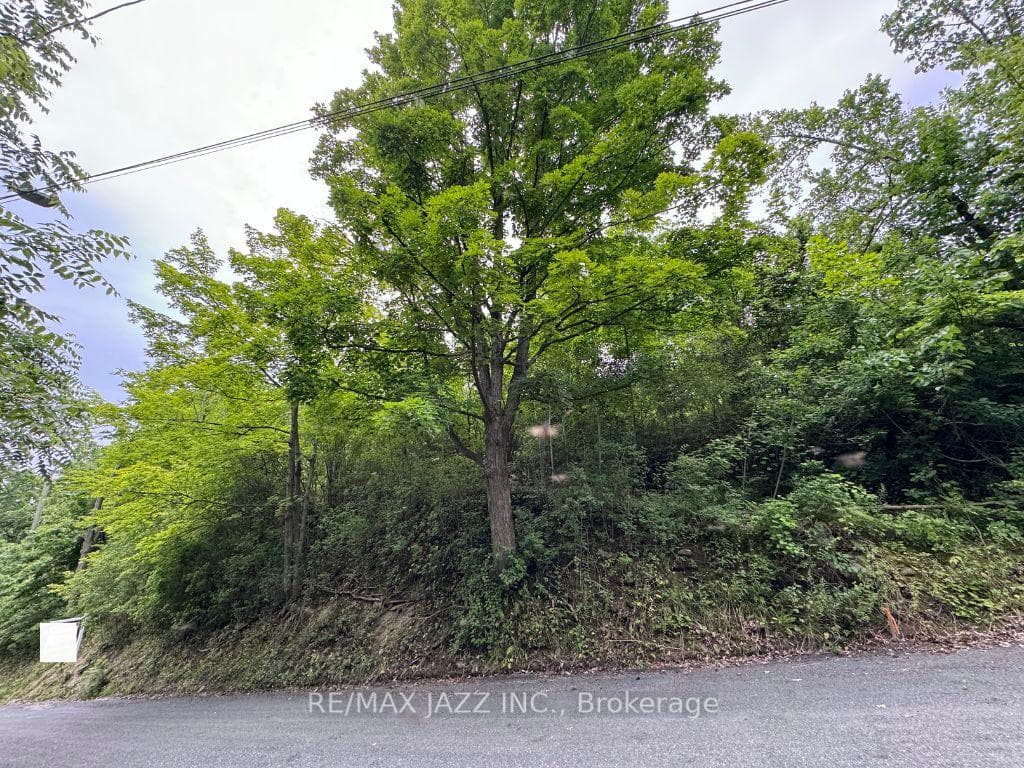 0 Maple Street, Trent Hills, ON K0L 1L0 - Photo 1