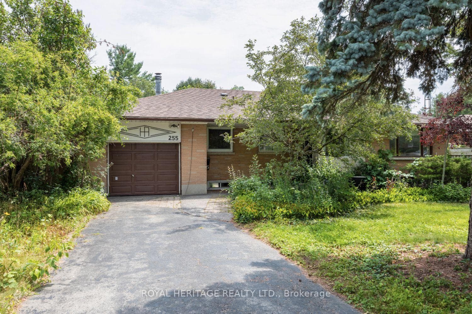 255 Meadow Road, Whitby