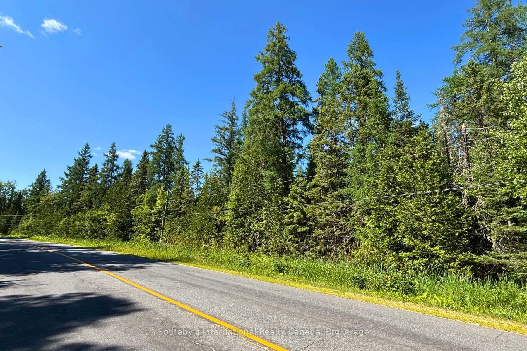 0- P1 Highway 518 N/A, McMurrich/Monteith, ON P0A 1Y0 - Photo 1