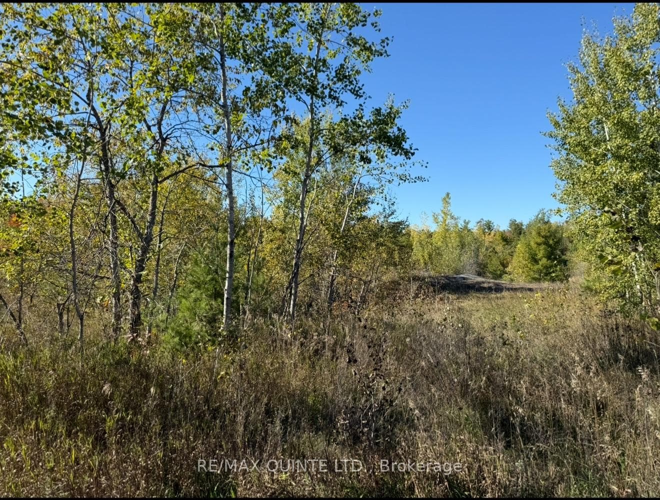 0 Price Road, Tweed, ON K0K 3J0 - Photo 1