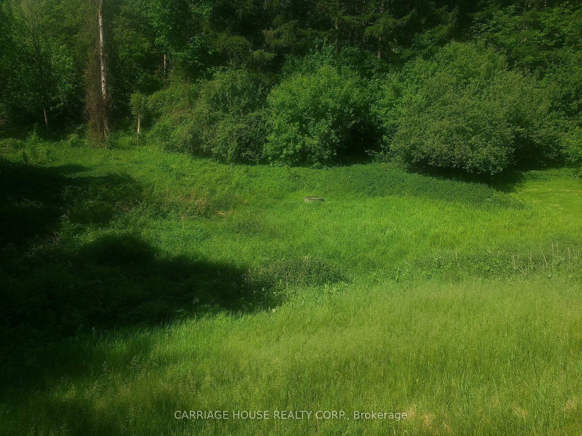 Part 3 Main Street Unit 19904, Caledon, ON L7K 0C2 - Photo 1