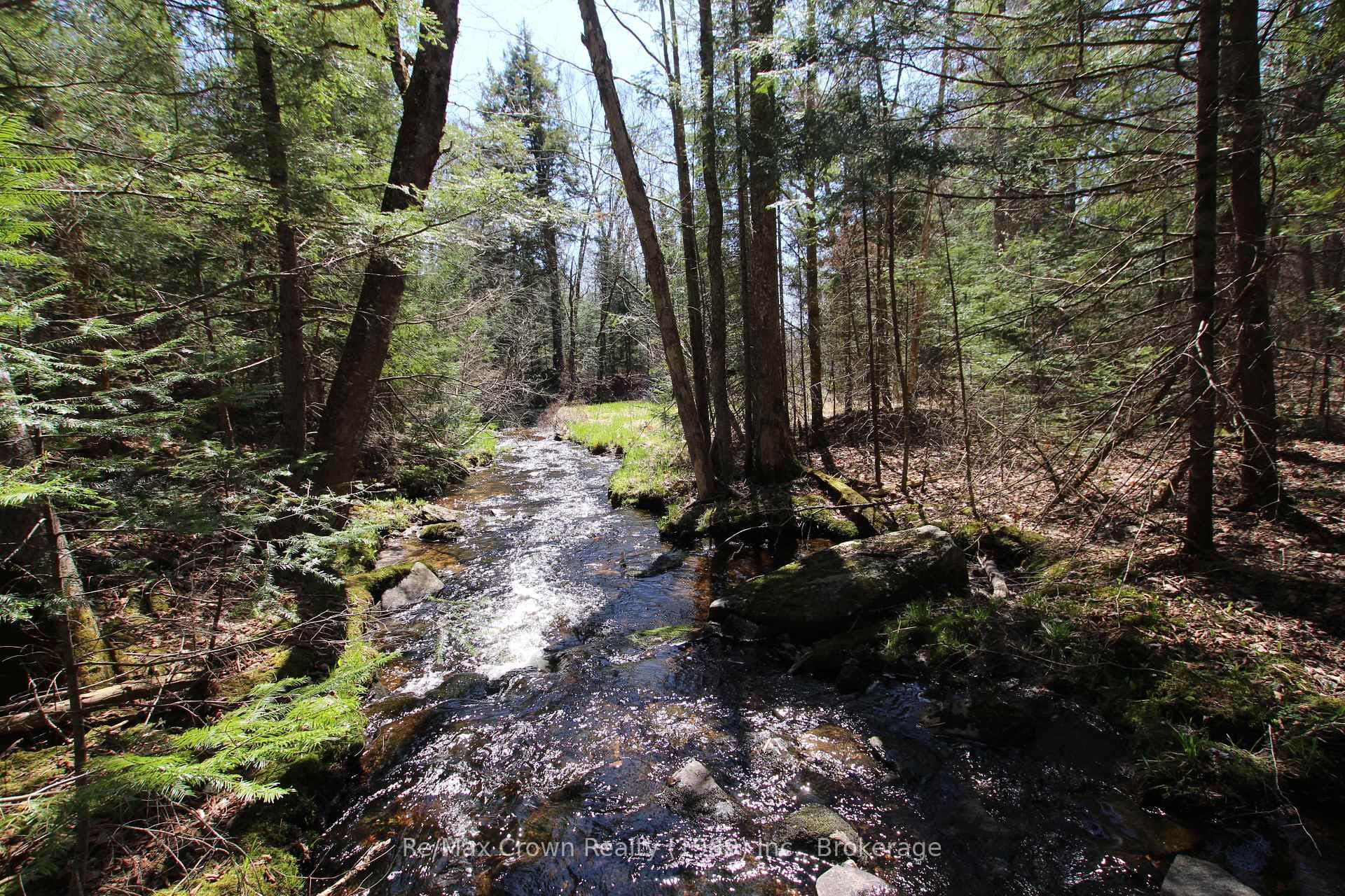 Brimson Creek running through property