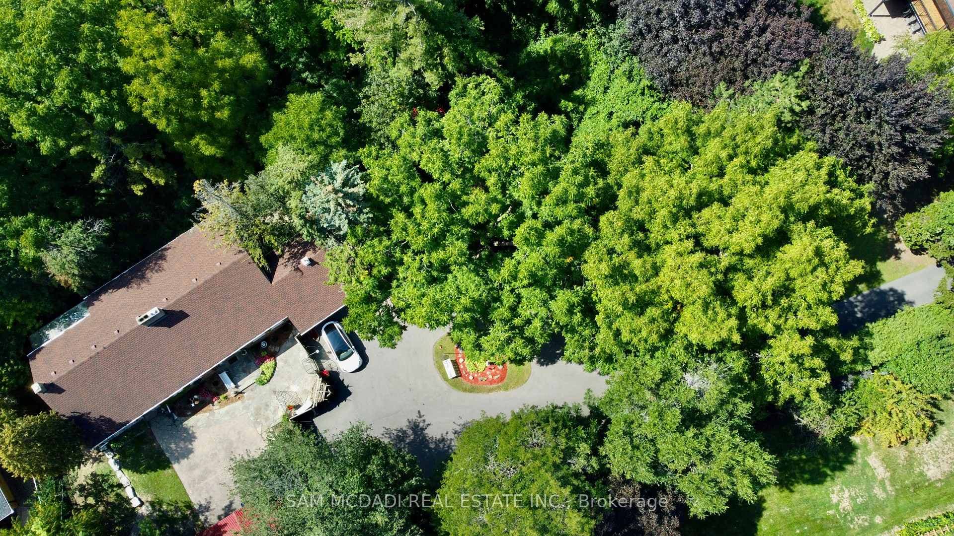 85 Yorkleigh Avenue, Etobicoke (Kingsview Village / Humber Heights), ON M9P 1Y3 - Photo 1