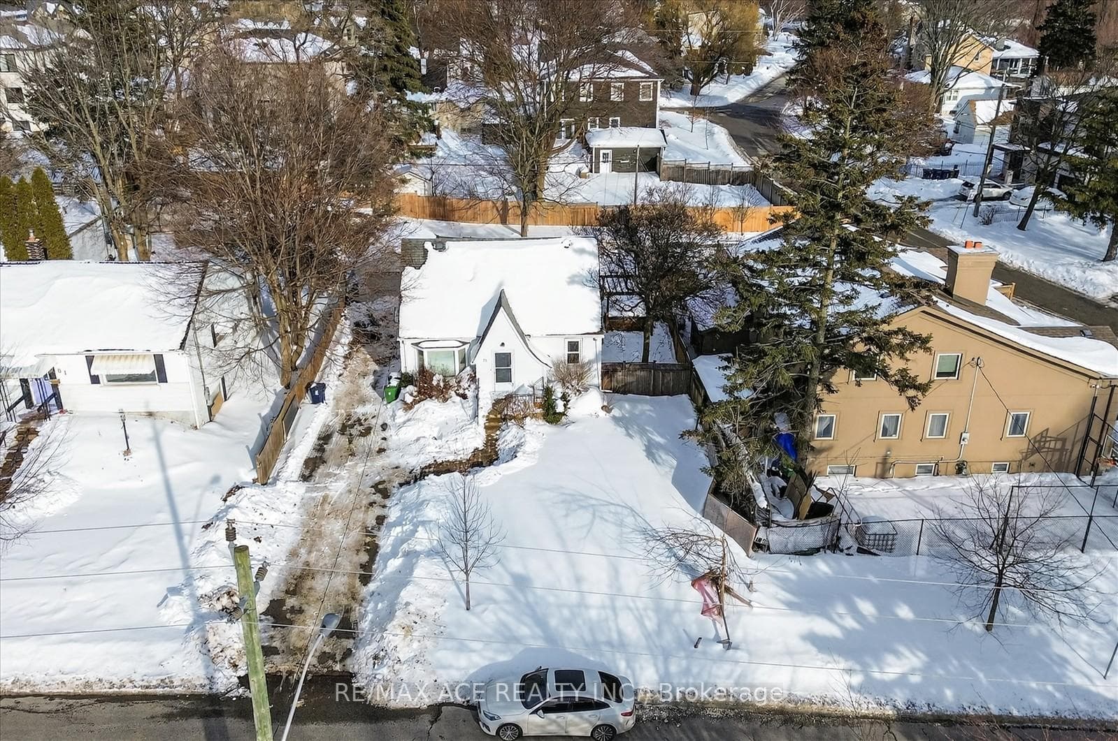 81 Brooklawn Avenue, Scarborough Town Centre, ON M1M 2P7 - Photo 1