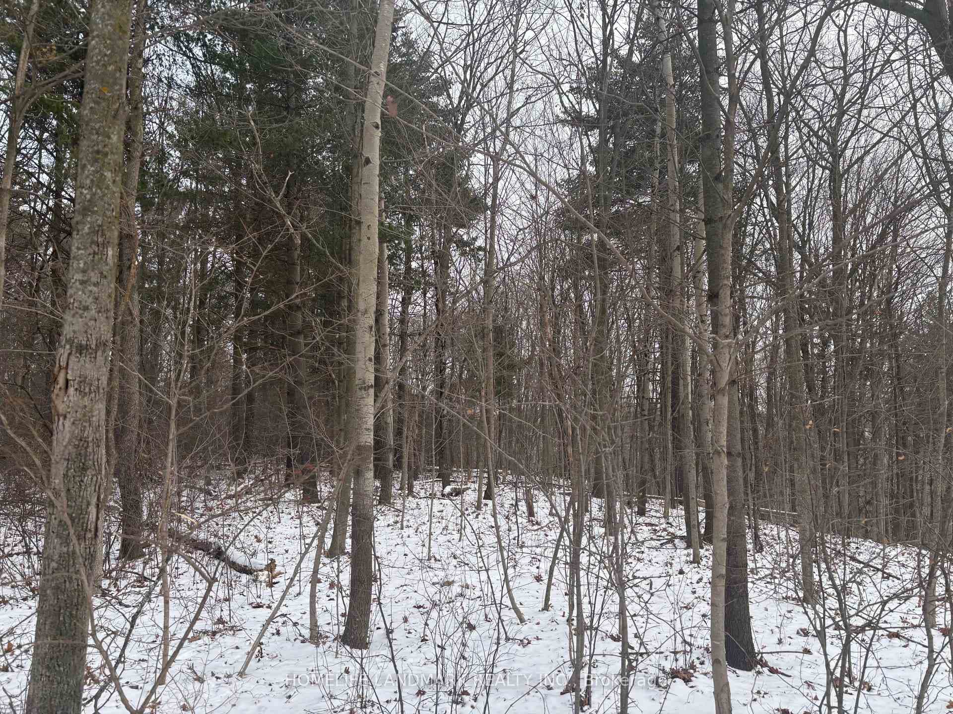 LT 45 CON 7 EBR LINDSAY N/A, Northern Bruce Peninsula, ON N0H 1Z0 - Photo 1