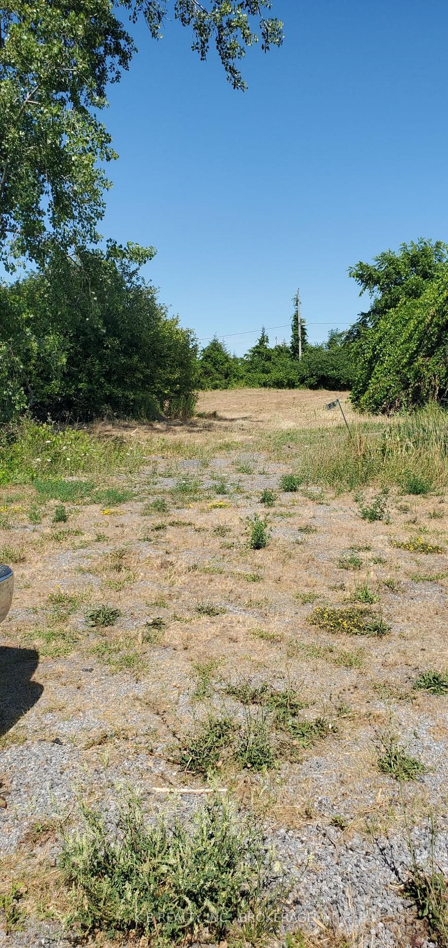 67 Dorland Drive, Greater Napanee, ON K7R 3K7 - Photo 1