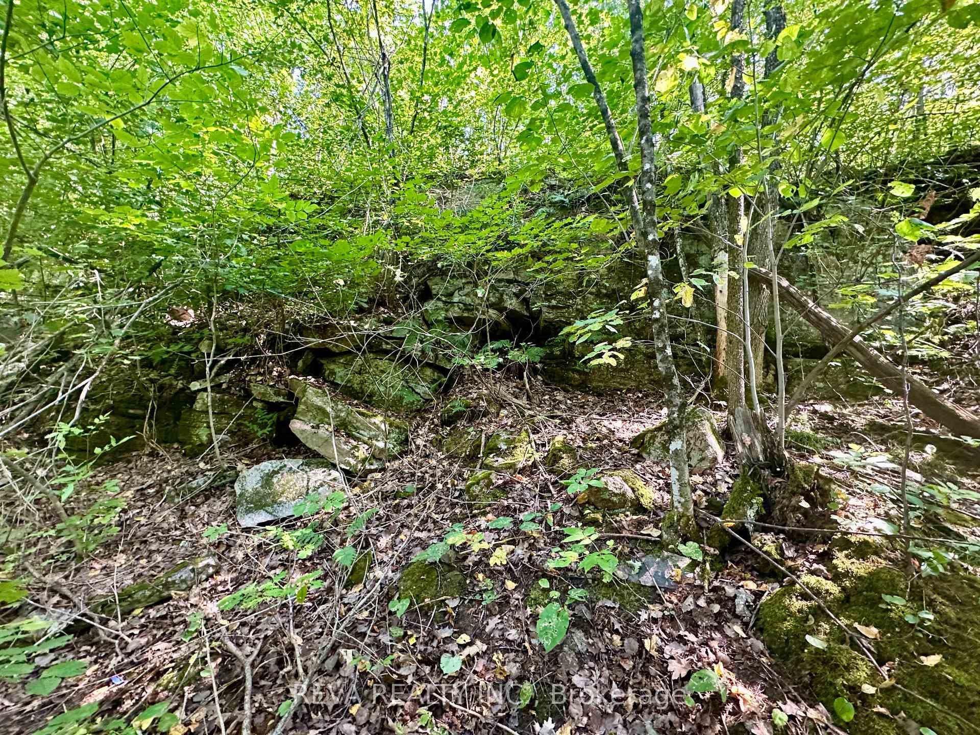 0 South Baptiste Lake Road, Hastings Highlands, ON K0L 1C0 - Photo 1