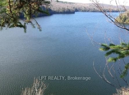 1827 Hybla Road, Hastings Highlands