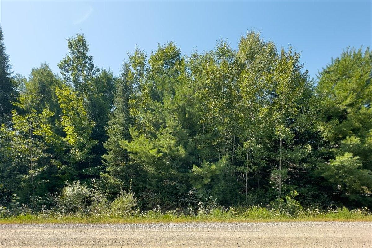 0 Rollin Road, Clarence-Rockland, ON K0A 3N0 - Photo 1