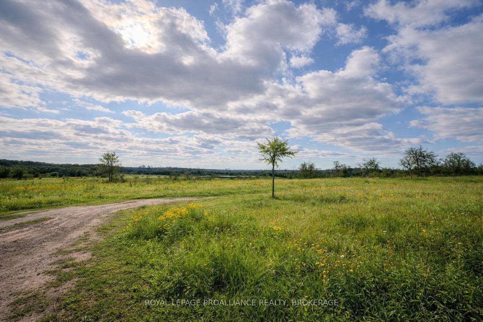 PT LT 37 McGarvey Road, Frontenac, ON K0H 1X0 - Photo 1