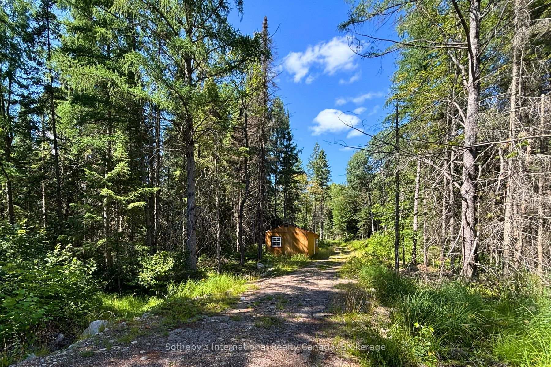 0- R Highway 518 N/A, McMurrich/Monteith, ON P0A 1Y0 - Photo 1
