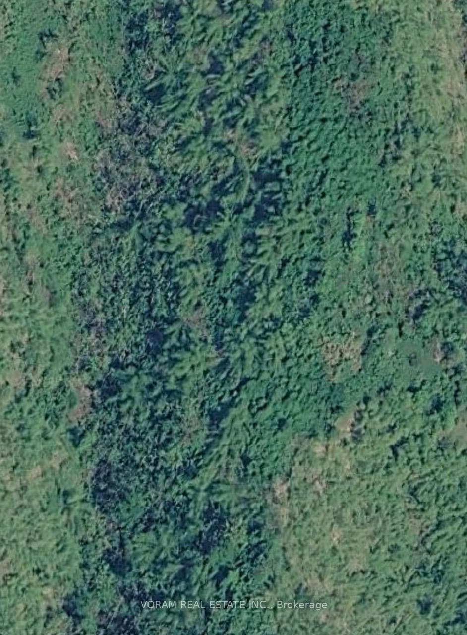 56 Calabash Avenue, Jamaica, ON - Photo 1