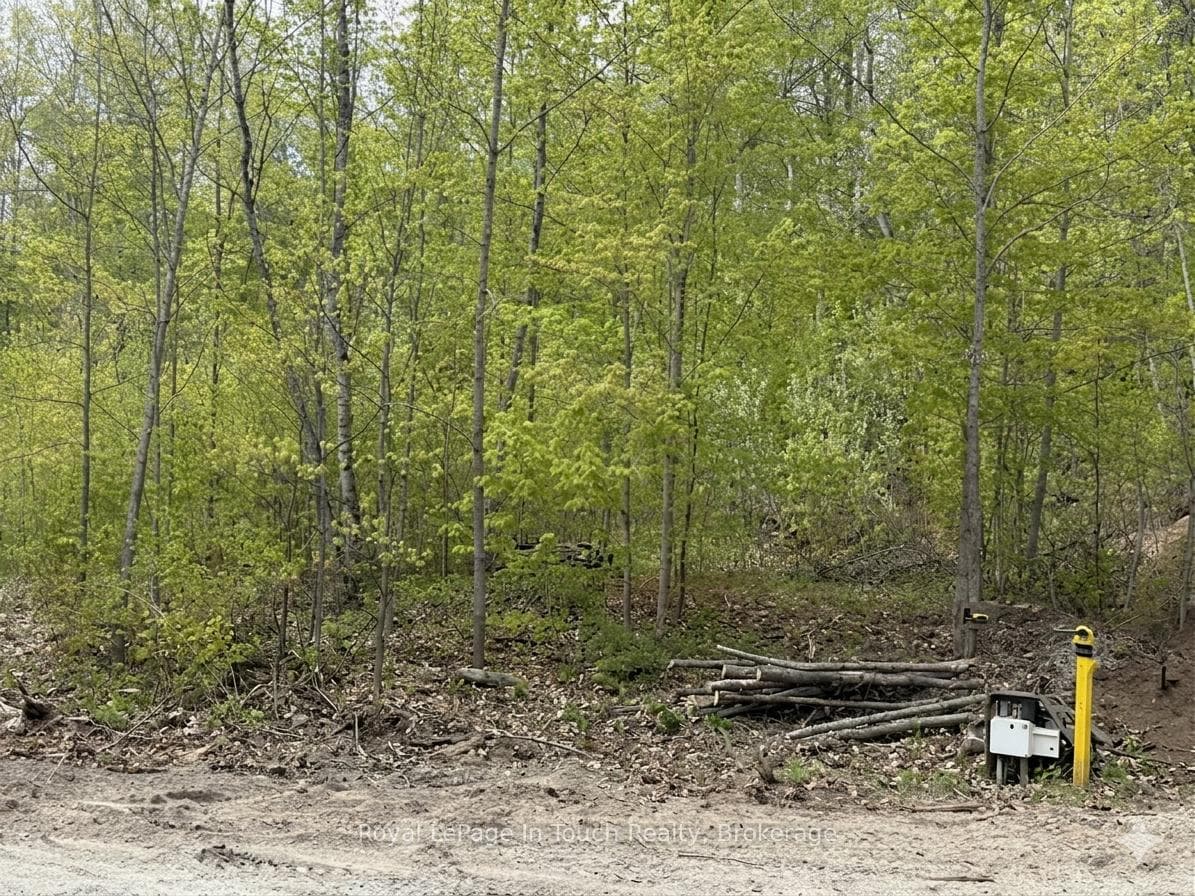 1536 Champlain Road (virtually altered)