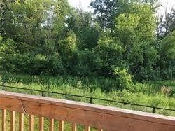 Ravine backyard