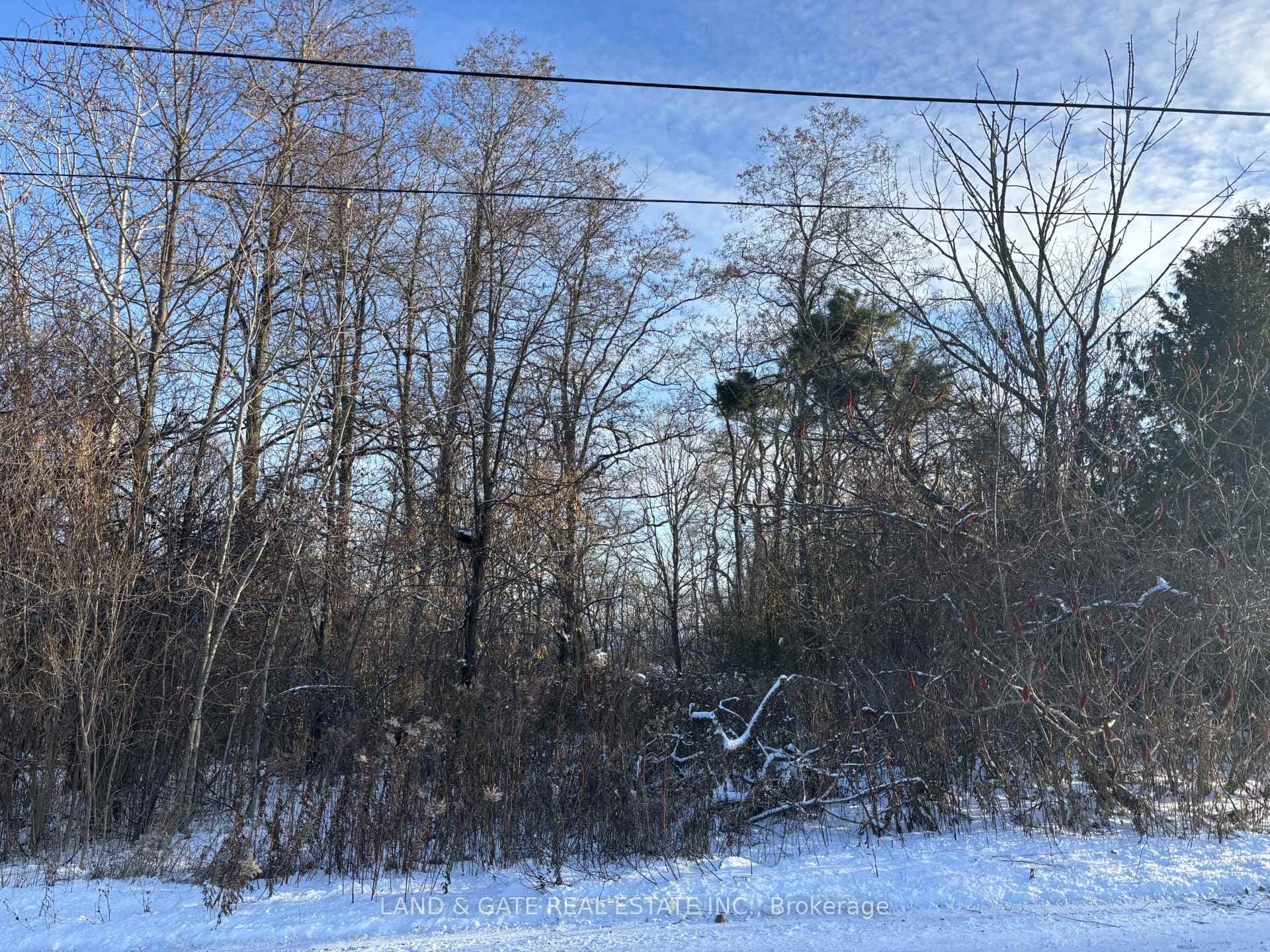 00 Kelwood Lane, Cramahe, ON K0K 1S0 - Photo 1