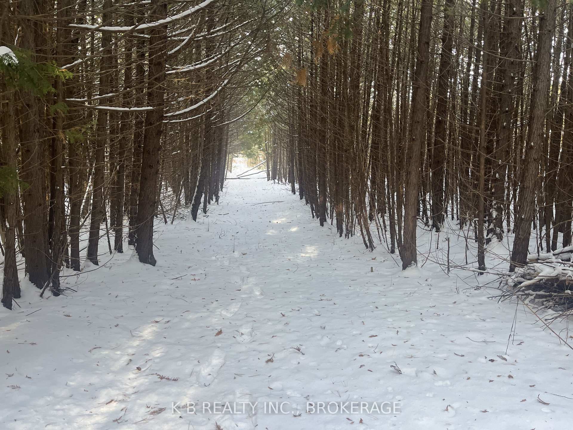 227 Grandview Drive, Alnwick/Haldimand, ON K0K 2X0 - Photo 1