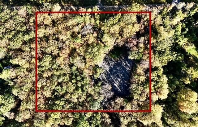 1394 Bartlett Lake Road, Ryerson