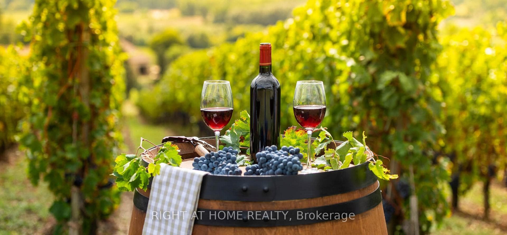 Wine Production Line