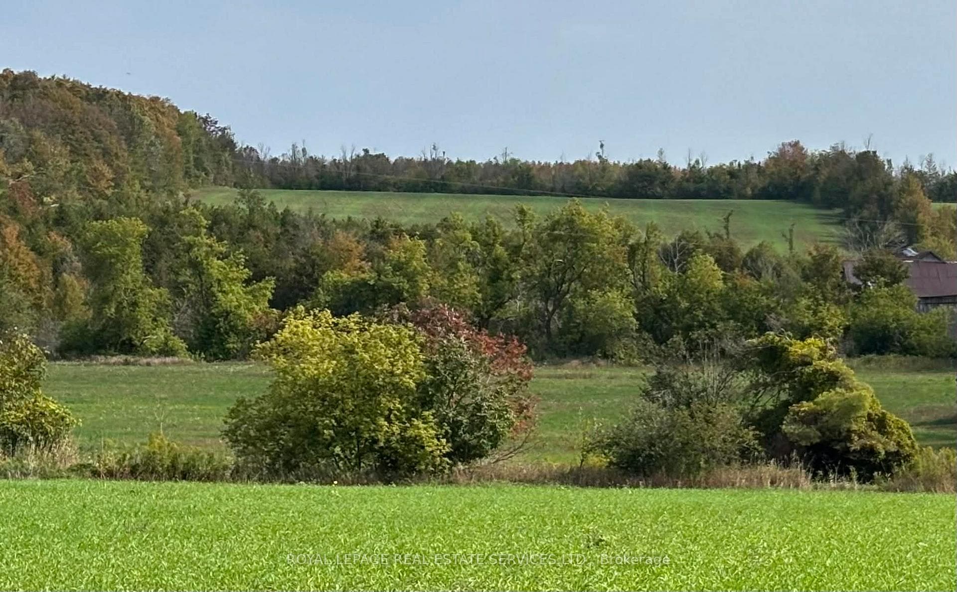 58111 12th Line (13 acre severed parcel) Road, Meaford, ON N4L 1W5 - Photo 1