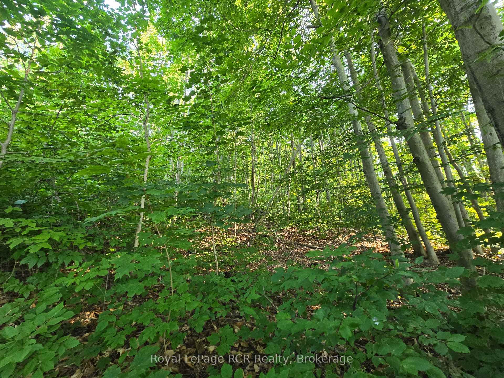 126 Old Highway 26 Highway, Meaford, ON N4L 1W7 - Photo 1