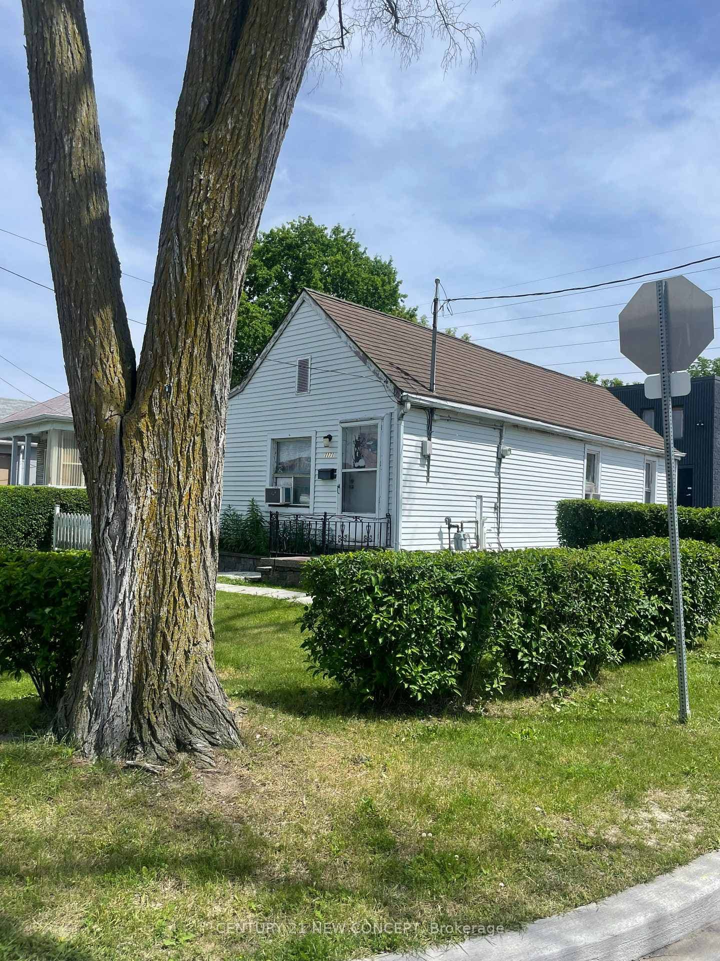 1171 Roselawn Avenue, York / Weston, ON M6B 1C5 - Photo 1