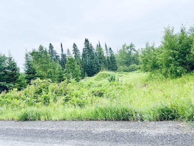 000 Lasswade Road, North Kawartha, ON K0L 1A0 - Photo 1