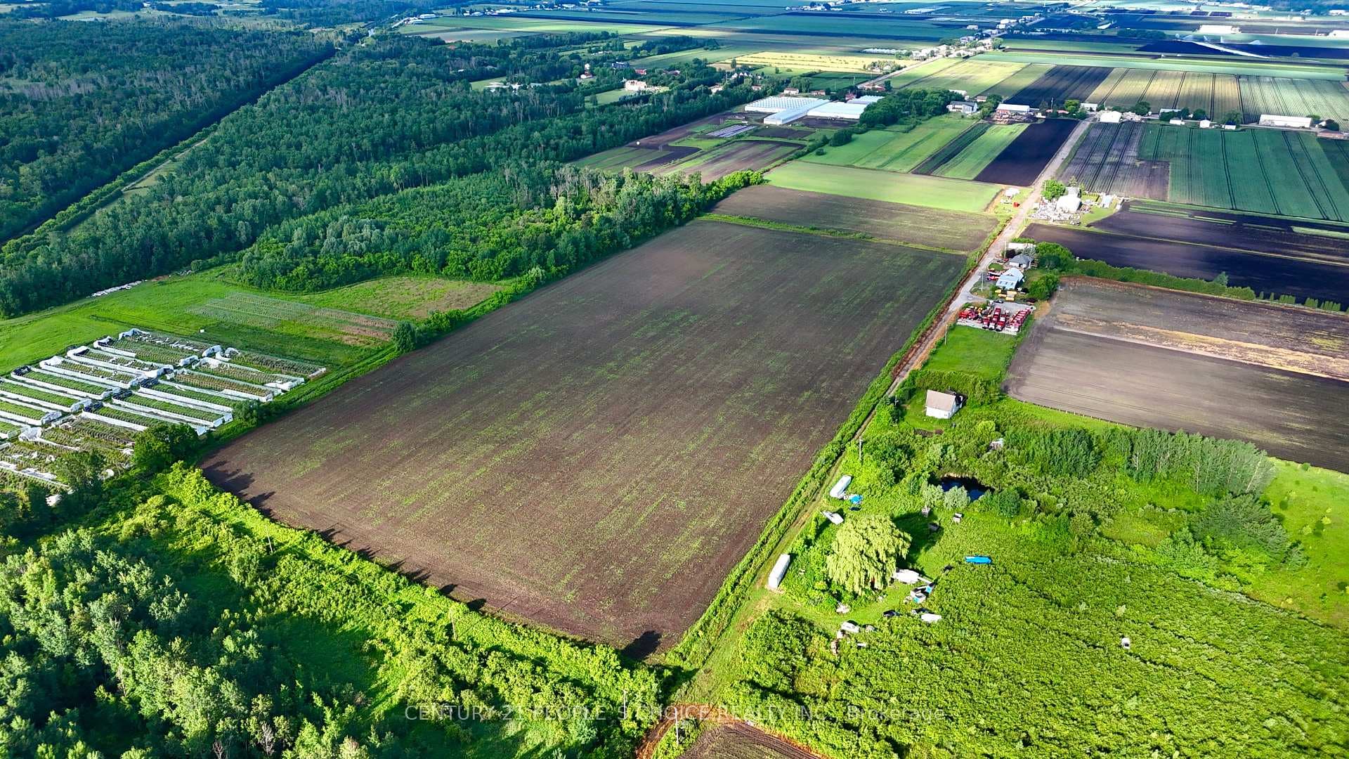 325 Lipchey Road, King, ON L3Y 4V9 - Photo 1