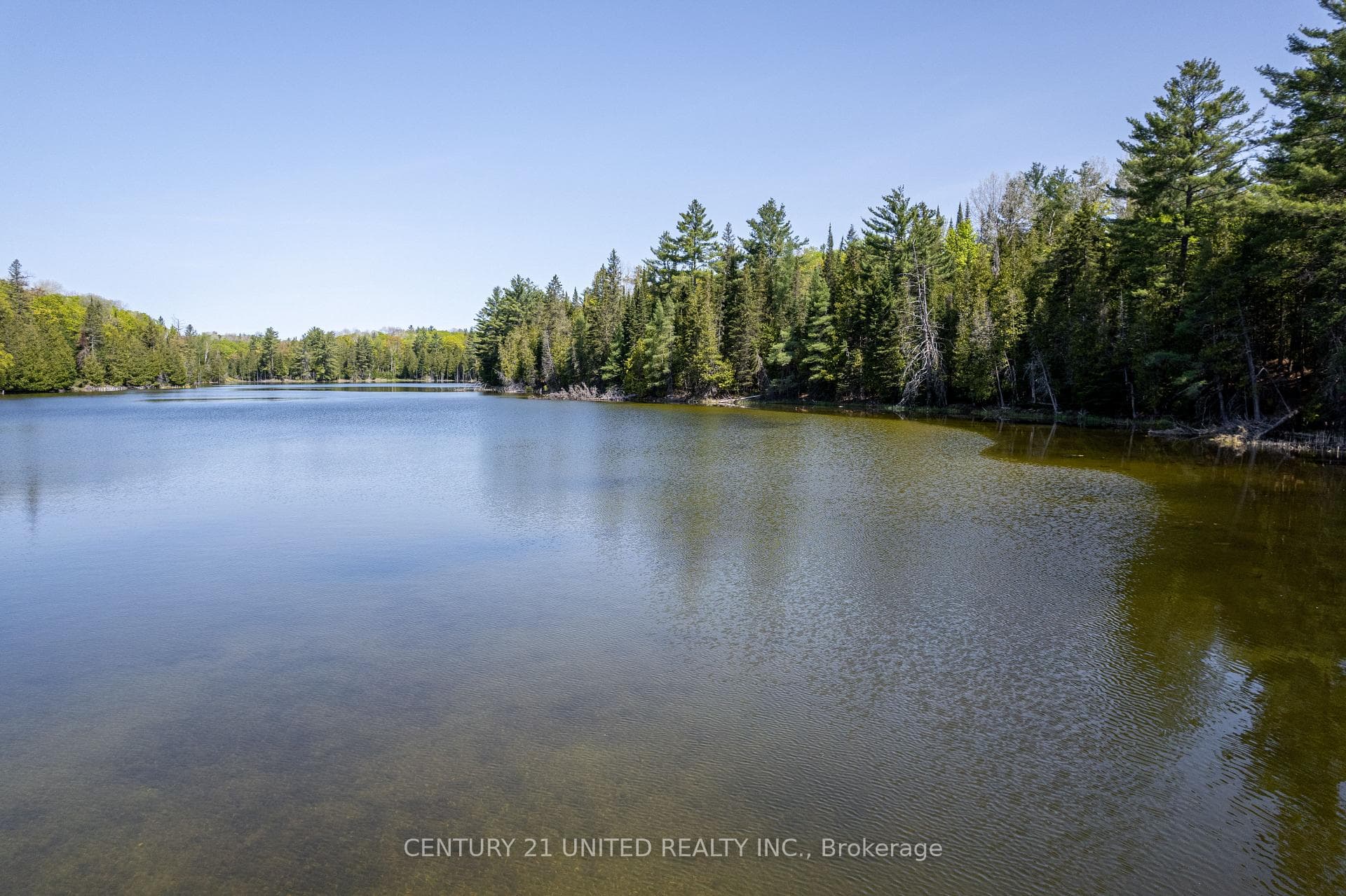 0 Johnson Road, North Kawartha, ON K0L 1A0 - Photo 1