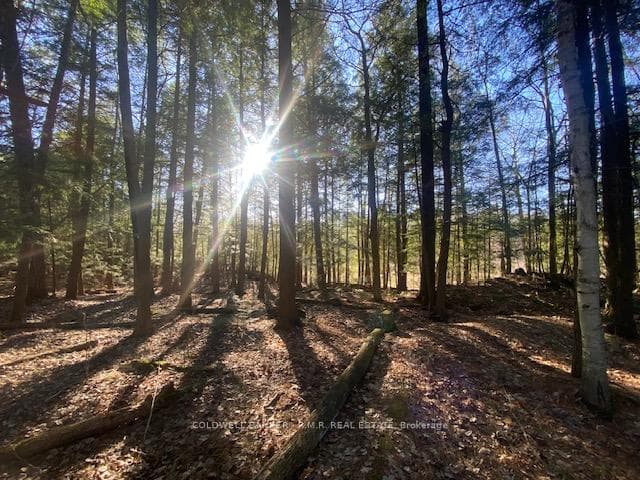 NA Hwy 35 N/A, Minden Hills, ON K0M 2L1 - Photo 1