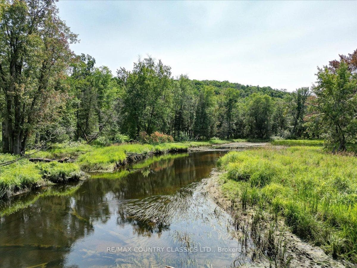 0 North Rusaw Road, North Kawartha, ON K0L 1A0 - Photo 1