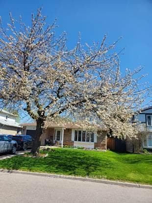 71 Grassington Crescent, Brampton, ON L6S 1Z5 - Photo 1