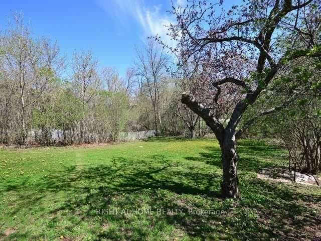 15 Pioneer Drive, Mississauga, ON L5M 1G8 - Photo 1