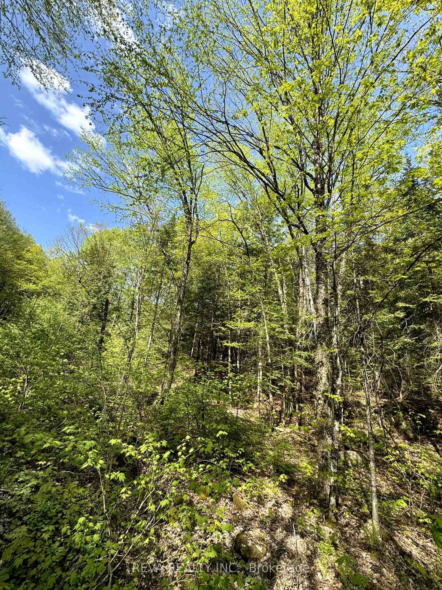 0 Salmon Trout Lake Road, Hastings Highlands, ON K0L 1C0 - Photo 1