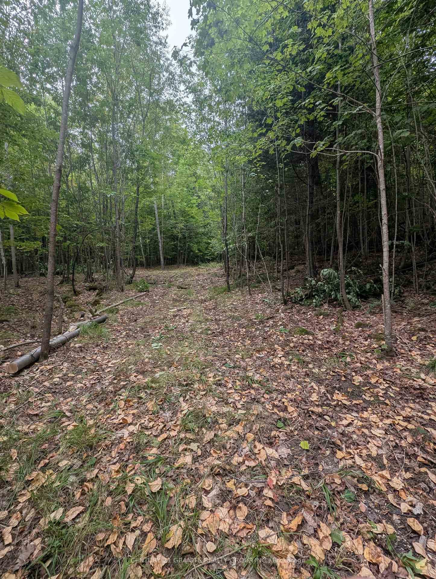 00 Kamaniskeg Lake Road, Hastings Highlands, ON K0J 1L0 - Photo 1