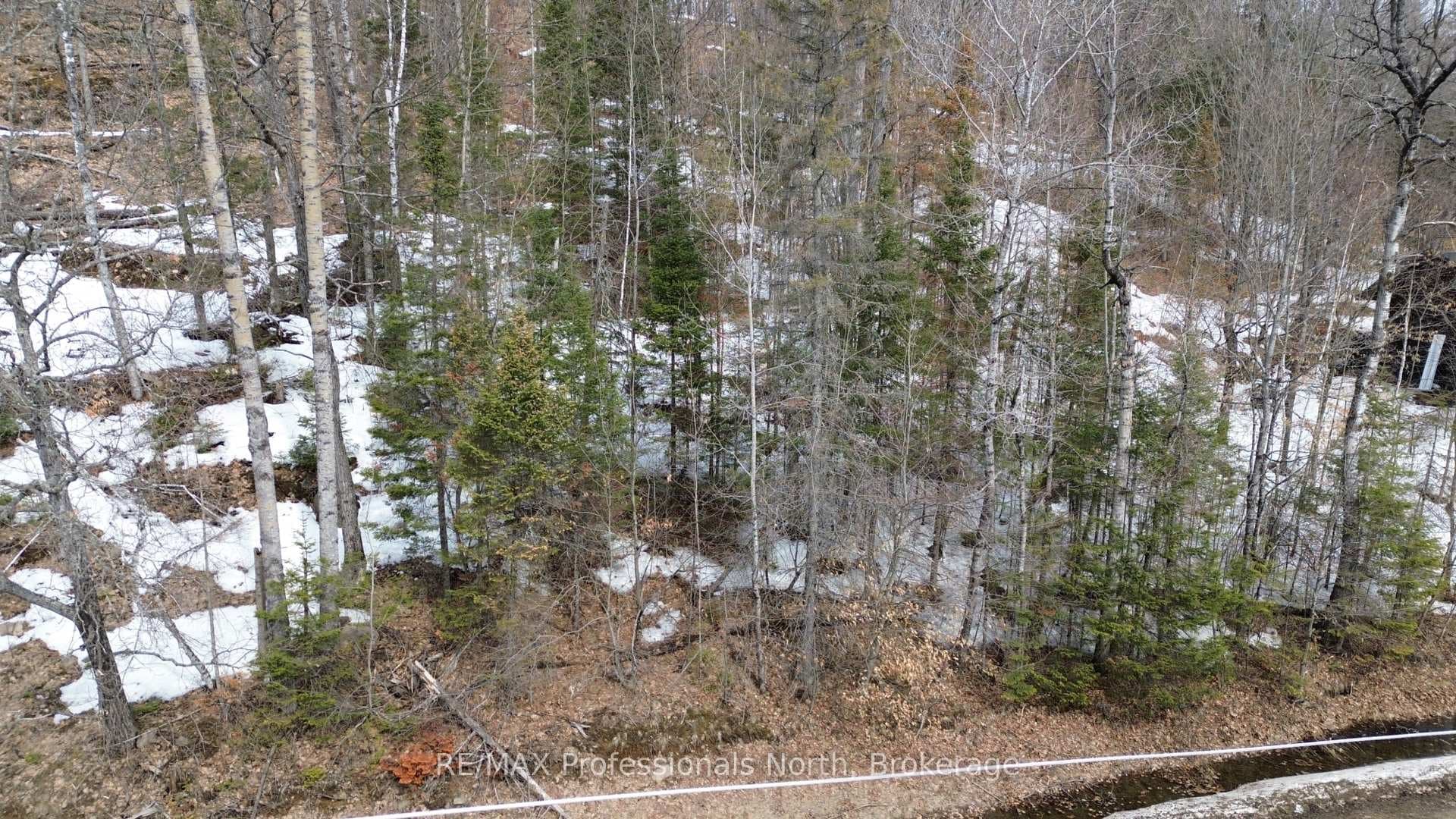 0 Trapper's Trail Road, Dysart et al, ON K0M 1S0 - Photo 1