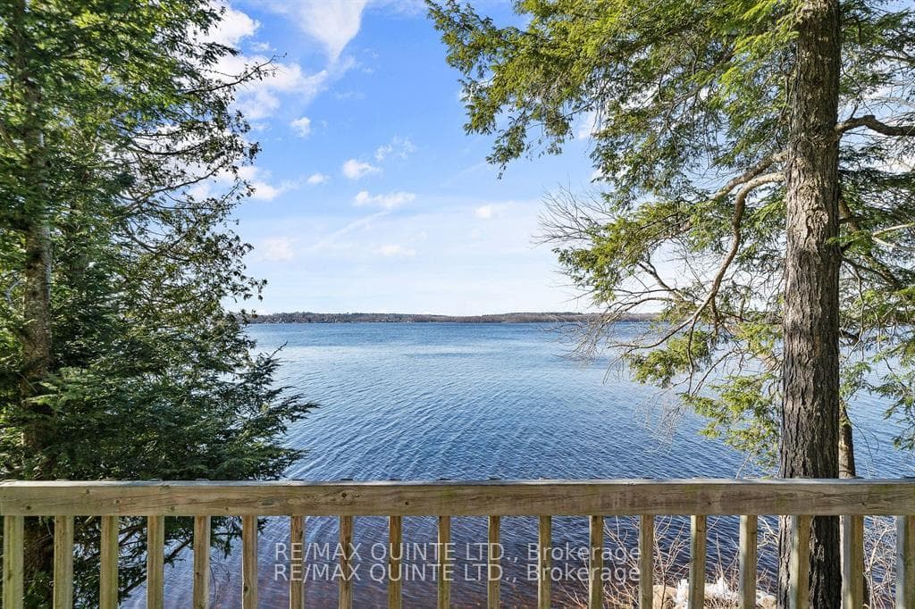 113 RUSH Lane, Tweed